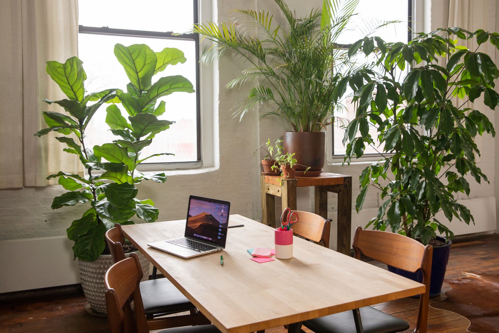 Oficina luminosa con plantas
